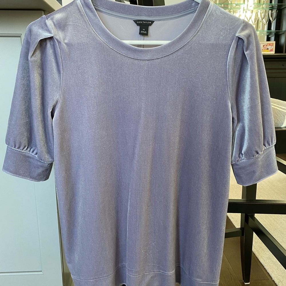 Ann Taylor Velvet Puff Sleeve Top size XS